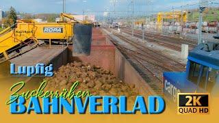 BAHNVERLAD ZUCKERRÜBEN