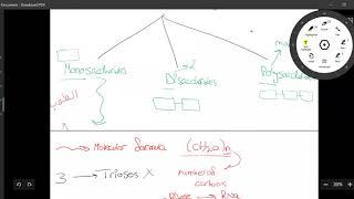 Biological Molecules Part 1 (Carbs)