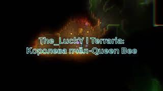 Terraria|Boss: Королева пчёл-Queen Bee. Победа над боссом меньше чем за минуту!