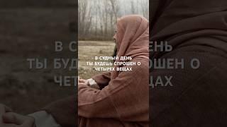 16 мая 2025 г.
