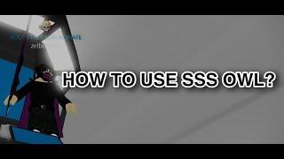 how to use SSS-OWL techniques [RO-GHOUL]