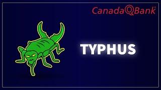 Typhus