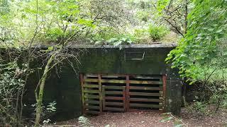 B Schleife || OSTWALL || Festungsfront Oder-Warthe-Bogen - Bunker im Wald