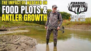 Episode #277 - Wet Cool Weather Impact on Food Plots and Antler Growthvideo