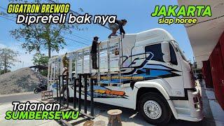 Brewog prepare jakarta ‼️ begini persiapannya