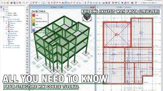 ALL YOU NEED To KNOW About PROTA STRUCTURE