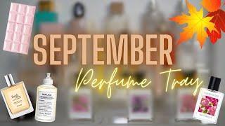 SEPTEMBER PERFUME TRAY 2024!  TIME FOR SOME FALL FRAGRANCES!!  | AMY GLAM 