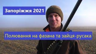 Полювання на фазана та зайця-русака | Запоріжжя 2021 | Ни пуха, ни пера!