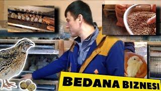 BEDANA BOQISH SIRLARI OCHILDI/SAVOLLARGA JAVOB BERILDI