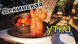 СОЧНАЯ УТКА В ТАНДЫРЕ.  Утка с овощами в тандыре. Утка запеченная в яме