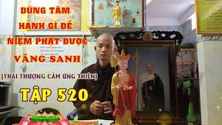 DUNG TAM GI, HANH GI NIEM PHAT DUOC VANG SANH ( THAI THUONG CAM UNG THIEN ) TAP 520