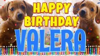 Happy Birthday Valera! ( Funny Talking Dogs ) What Is Free On My Birthday