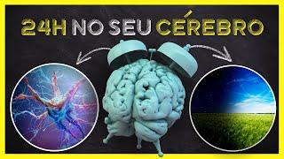 O Que Acontece nas 24h de Vida do Seu Cérebro? (O Ciclo Cirdadiano)