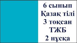 6 сынып Қазақ тілі 3 тоқсан ТЖБ 2 нұсқа