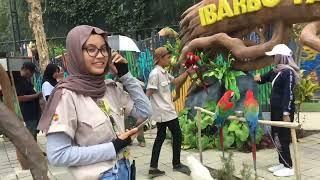 SERUU !! IBARBO PARK TERBARU#yogyakarta #ibarbo#vlog#indonesiatravel