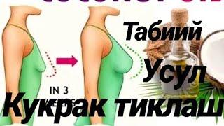 КУКРАК ТИКЛАШ УЙ ШАРОЙИТИДА КУКРАК БЕЗИНИ КАТТАЛАШТИРИШ ШАЛПЫЙГАН КОКУРОКТУ КАНТИП ТИКА КЫЛАТ