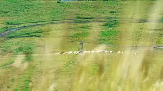 Video Banner Stock Videos - Rural, Farming, Agriculture, Green