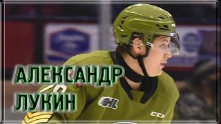 Александр Лукин