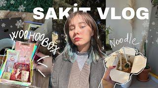 SAKİT VLOG/WOOHOOBOX AÇIRIQ/ iş həyatı/qış ab-havası