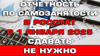 Самозанятым отчеты в Росстат с 1 января 2025 сдавать не нужно Новости