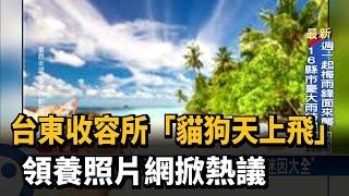 台東收容所「貓狗天上飛」　領養照片網掀熱議－民視新聞