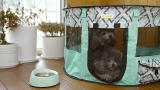 #Tasdise - Portable Dog Playpen Usage Show