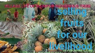 Manipur village farmers Life ️ plucking Pineapple  for selling#farming #manipur