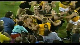 All in all Brawl AFL Fight/Melee SANFL Grand Final Richard Champion