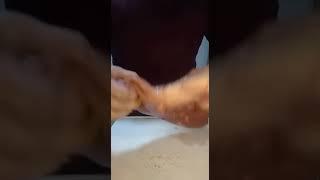 Picanha no forno, PERFEITA!