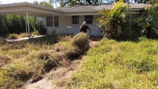 THE YARD IS SO BAD that the NEIGHBOR said SHE WANTS TO SELL HER HOUSE TO GET AWAY - FULL OF RATS