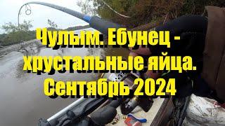 Чулым. Ебунец - Хрустальные яйца. Сентябрь 2024