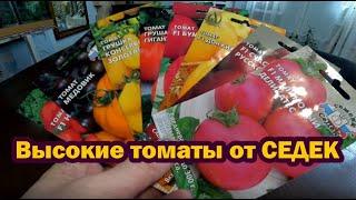 Обзор семян от СеДеК. Часть 6. Высокорослые томаты