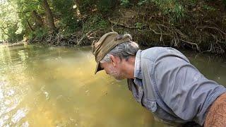 On The River Metal Detecting Coins and Relics