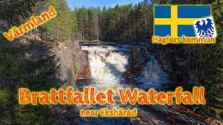 Rushing waterfall & drizzle | Hike at Brattfallet Sweden | Värmland County | Incredible nature