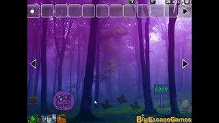 Big Mist Land Escape Walkthrough [BigEscapeGames]