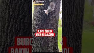 Burcu özberk bakın ne saldırdı #shortsvideo #magazin #short #shorts #shortsyoutube #shortsbeta #love