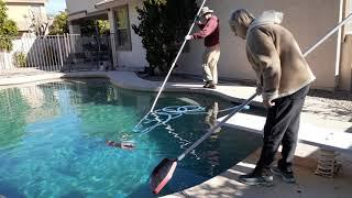 Removing leaves from the pool surface