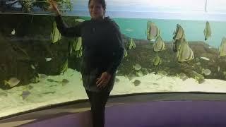 Odysseo Oceanarium Mauritius 27.08.2022