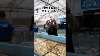 Man makes viral short form videos tutorial 🪸 #aquarium #contentcreation #reeftank #fishtank #reef