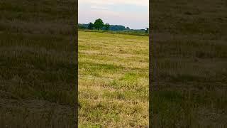 #moments #primavera #family #relax #campagna #spring #colors #green #verde #birds