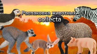 Распаковка животных collecta (коллекта)