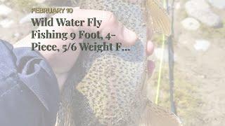 Wild Water Fly Fishing 9 Foot, 4-Piece, 5/6 Weight Fly Rod Deluxe Complete Fly Fishing Rod and...