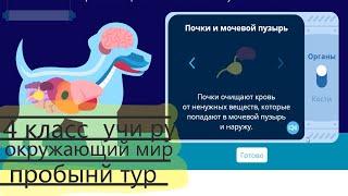 УЧИ РУ Олимпиада 3 класс окружающему миру с 16 по 29 марта пробный тур