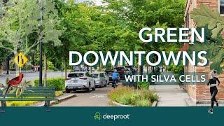 How Silva Cells Help Small Downtowns Go Green