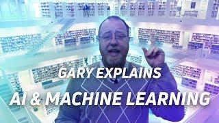 Artificial Intelligence vs Machine Learning - Gary explains