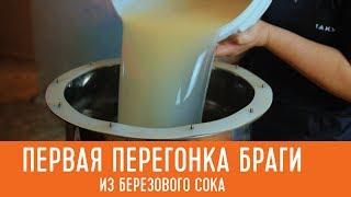 Первая перегонка браги на березовом соке. Самогонный аппарат Смакуй Эксперт