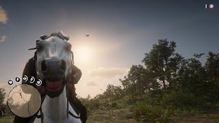 RDR2 - Cowboy Space Program