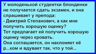 Как блондинка экзамен преподу сдала... Сборник! Юмор! Позитив!