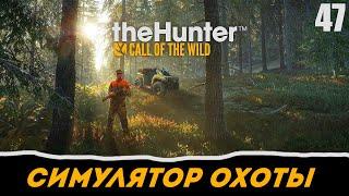 theHunter: Call of the Wild прохождение на русском. Часть 47 - Федеральная экослужба (Бурый медведь)