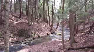 Morgan Hill Long Loop - Part 1